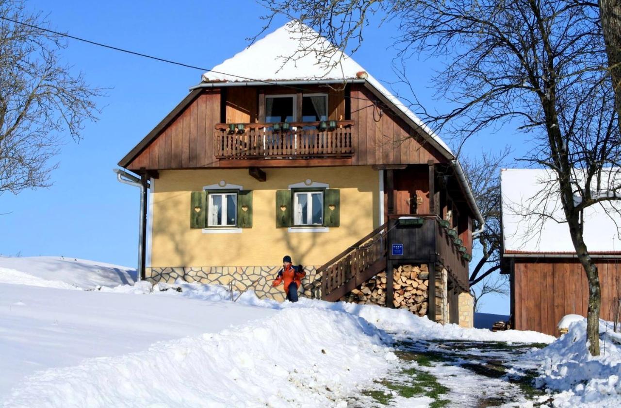 Country House Novosel Duga Resa Buitenkant foto
